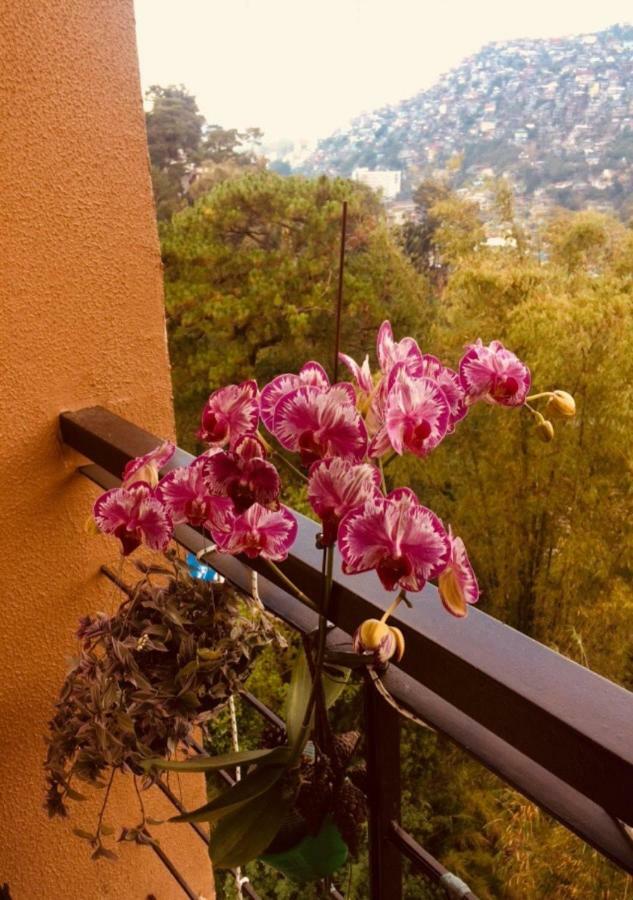 Courtyards Peak-Corner Pinestay - At Goshenland Baguio バギオ エクステリア 写真